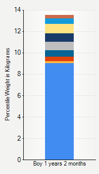 Weight chart for boys 1 year 2 months of age