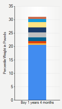 Weight chart for boys 1 year 4 months of age