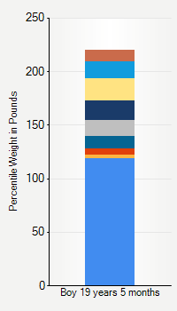 Weight chart for boys 19 years 5 months of age