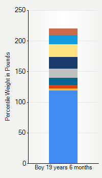 Weight chart for boys 19 years 6 months of age