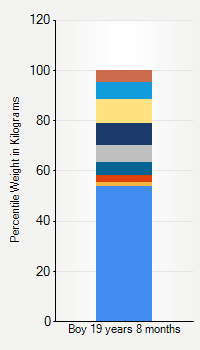 Weight chart for boys 19 years 8 months of age