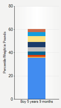 Weight chart for boys 5 years 9 months of age