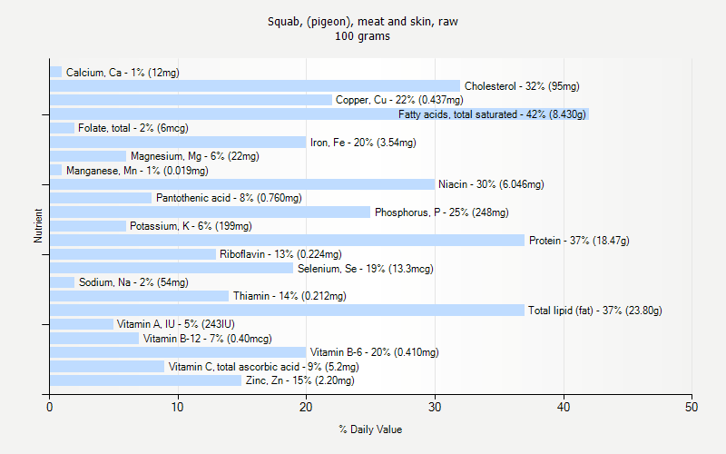 % Daily Value for Squab, (pigeon), meat and skin, raw 100 grams 